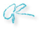 Alexis signature